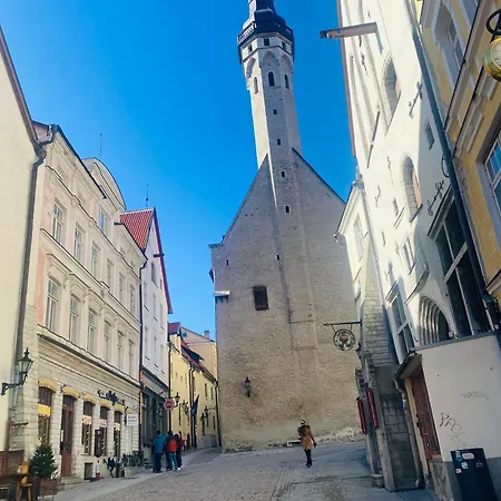 Apartman Cozy Vene Street 1