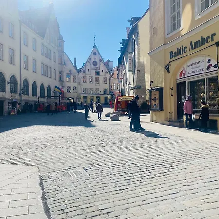 Cozy Vene Street 1