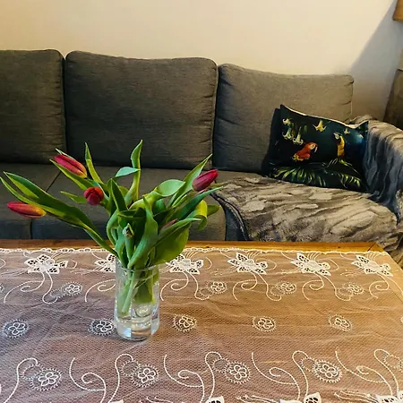 Cozy Vene Street 1 Apartman Tallinn